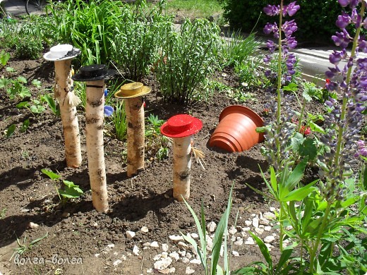 : ������ �������� ������, �������� ��������. ���� 5