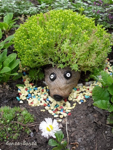 : ������ �������� ������, �������� ��������. ���� 16