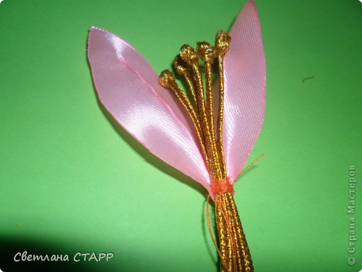  Мастер-класс Шитьё: Как я делаю лилию. Ленты. Фото 17