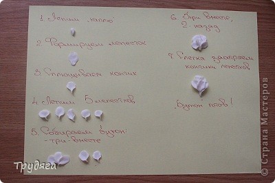  ����� ���������, ������-����� �����: ��������� ������ "��������" - ��  �������, ����, �������� �������. ���� 2