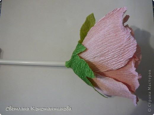  Мастер-класс, Свит-дизайн Бумагопластика: МК по изготовлению роз в свит -дизайне Бумага гофрированная, Бусинки. Фото 18