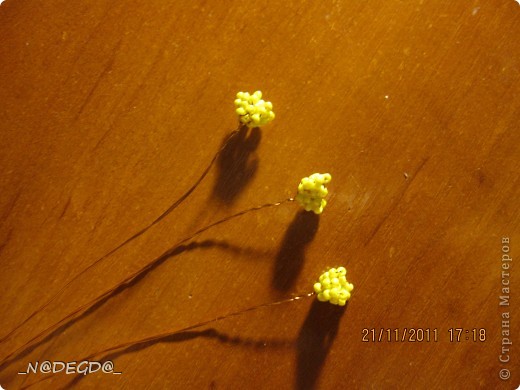  ������-����� ��������������: ������� �����, ��������� 8 �����, ���� ������. ���� 10