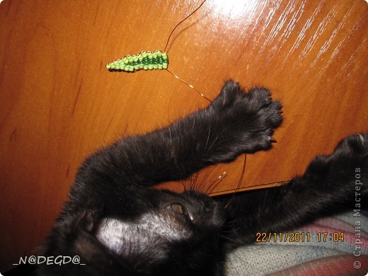  ������-����� ��������������: ������� �����, ��������� 8 �����, ���� ������. ���� 13