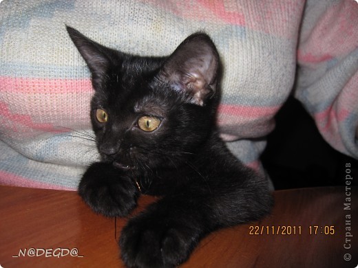  ������-����� ��������������: ������� �����, ��������� 8 �����, ���� ������. ���� 14