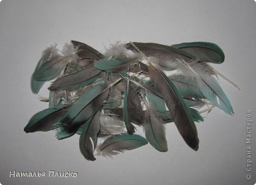  ������-�����, �������, ������� �����: ����-������))))) ����, �������� ��������, �����, ����, ��������, ���������. ���� 10