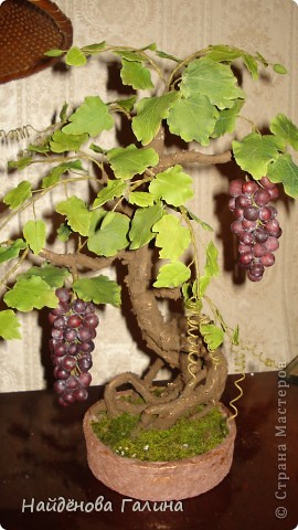 Свой виноград круглый год!Наслаждайтесь!Любители винограда!. Фото 1