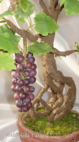 Свой виноград круглый год!Наслаждайтесь!Любители винограда!. Фото 6