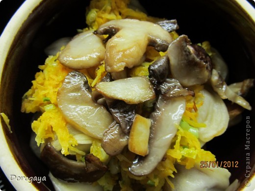  ���������, ������-����� ������ ����������: �������� � ��������! �������� ������� 23 �������, 8 �����, ���������� ����, ���� ��������, ����� ���. ���� 5