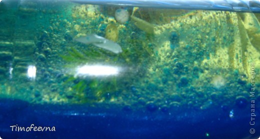  �������, ������-�����, ������ ��������: ��������� �������/2 ������� ����������� ���� ������ �����. ���� 1