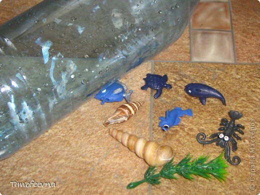  �������, ������-�����, ������ ��������: ��������� �������/2 ������� ����������� ���� ������ �����. ���� 2