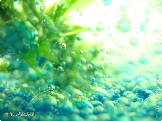  �������, ������-�����, ������ ��������: ��������� �������/2 ������� ����������� ���� ������ �����. ���� 8