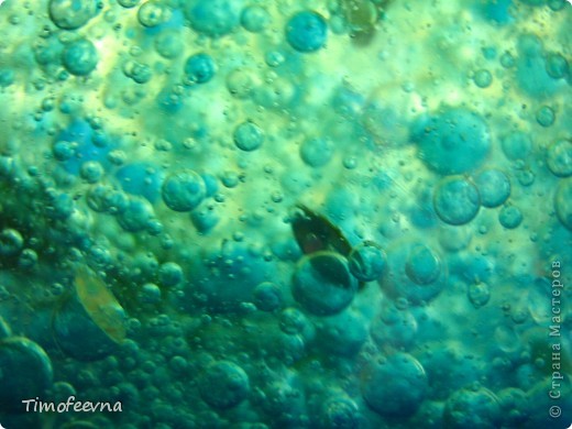  �������, ������-�����, ������ ��������: ��������� �������/2 ������� ����������� ���� ������ �����. ���� 13