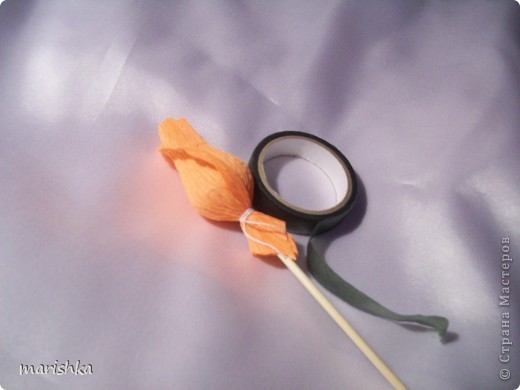  ������-�����, ����-������ ��������������: ��� ��������� ��� �� ������ �������������. ���� 12