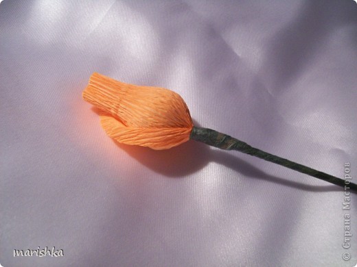  ������-�����, ����-������ ��������������: ��� ��������� ��� �� ������ �������������. ���� 13