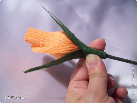  ������-�����, ����-������ ��������������: ��� ��������� ��� �� ������ �������������. ���� 15