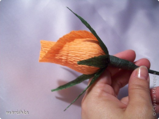  ������-�����, ����-������ ��������������: ��� ��������� ��� �� ������ �������������. ���� 16