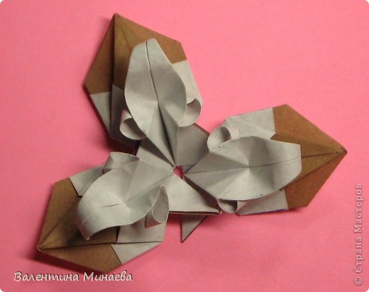  ������-����� ��������: �������� ����� + �� ������. ���� 30