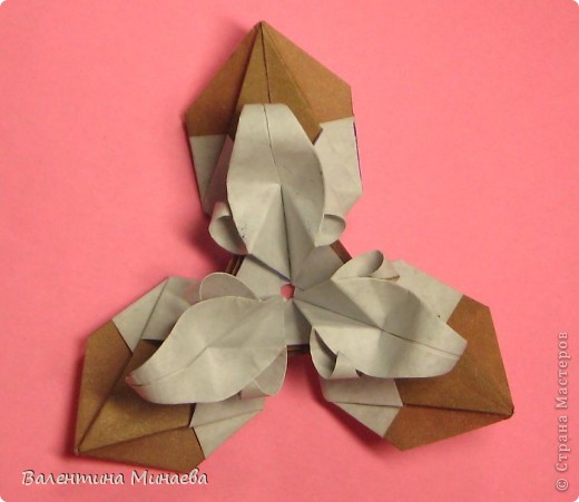  ������-����� ��������: �������� ����� + �� ������. ���� 31