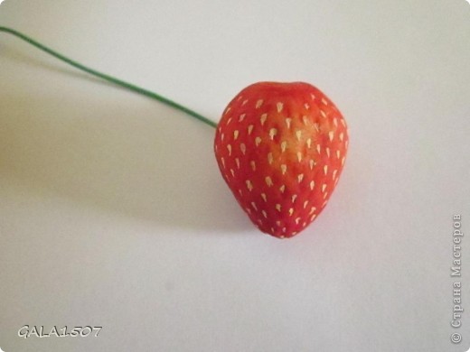  Мастер-класс Лепка: Выращиваем соленые ягодки. МК Тесто соленое. Фото 19