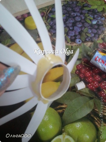  ������-�����, �������, ������� �����������: ��������� � ������� �� ������� �����������, ����, �������� ��������. ���� 21