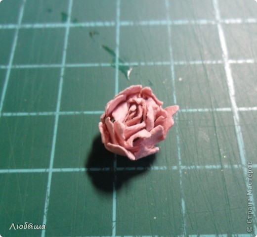  Мастер-класс Бумагопластика: Как я делаю пионы и розы. Бумага, Клей. Фото 10