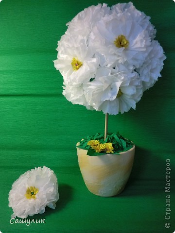  ������-�����: �������� + �� ��������� )  �����, ��������. ���� 1