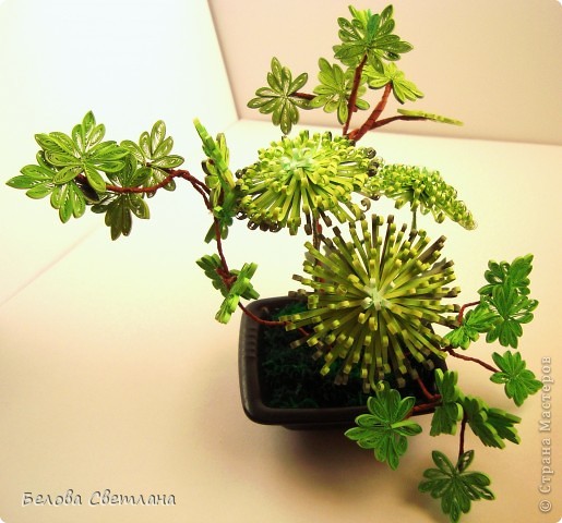  ������, �������� ��������������, ��������: ������� "�����" � ������� ������ �����, �������� ������. ���� 7