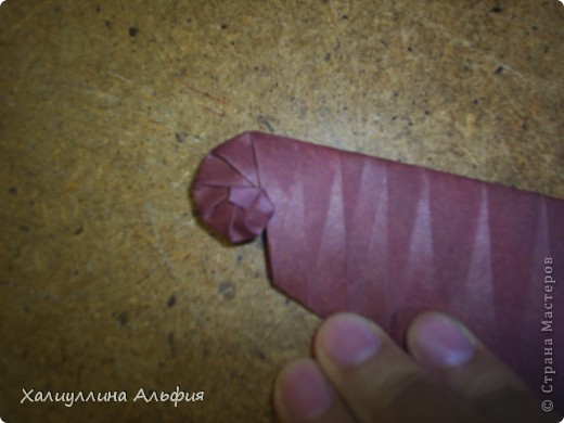 Мастер-класс Оригами: МК Ракушка "Navel Shell" (Автор: Tomoko Fuse) Бумага. Фото 40 Мастер-класс Оригами: МК Ракушка "Navel Shell" (Автор: Tomoko Fuse) Бумага. Фото 40