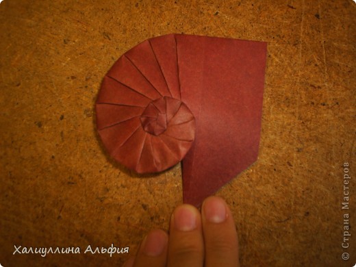 Мастер-класс Оригами: МК Ракушка "Navel Shell" (Автор: Tomoko Fuse) Бумага. Фото 42 Мастер-класс Оригами: МК Ракушка "Navel Shell" (Автор: Tomoko Fuse) Бумага. Фото 42
