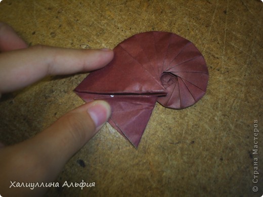 Мастер-класс Оригами: МК Ракушка "Navel Shell" (Автор: Tomoko Fuse) Бумага. Фото 50 Мастер-класс Оригами: МК Ракушка "Navel Shell" (Автор: Tomoko Fuse) Бумага. Фото 50