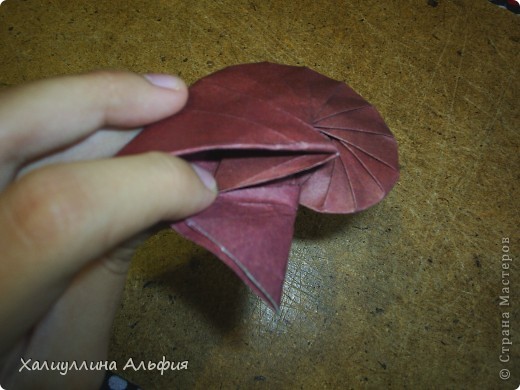 Мастер-класс Оригами: МК Ракушка "Navel Shell" (Автор: Tomoko Fuse) Бумага. Фото 51 Мастер-класс Оригами: МК Ракушка "Navel Shell" (Автор: Tomoko Fuse) Бумага. Фото 51