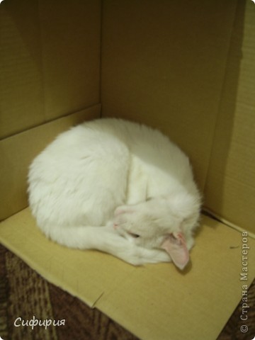  ������-�����, �������, ������� ��������������, �������������, �����-����: ������ ����� ��� ����� ��� ������� ������, ������ ��������, ������, �������, �����, ��������, �������� ������, �����. ���� 16