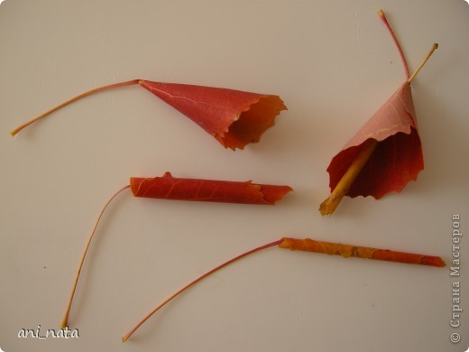  Мастер-класс Моделирование: Хризантемы из осенних листьев. Бумага гофрированная, Листья, Нитки Праздник осени. Фото 6