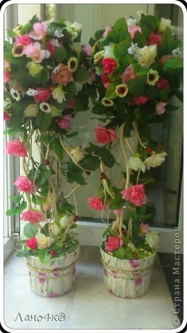  �������, ������� �������������: ����� �������� 8 �����, ���� ��������. ���� 1