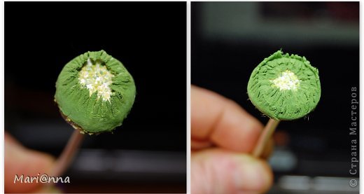  �������, ������� �����: ��������, ����-�� �������?! ��� � ����� ����������� ��� ������. ��������, �������� ���������, ��������, ������ ��������. ���� 5