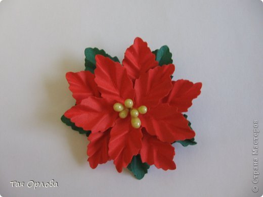  ������-�����, ��������, ����������� ����������, ���������: ��������+�� ��������� ������, �������, ����� ����� ���. ���� 14