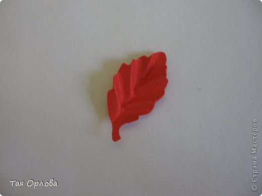  ������-�����, ��������, ����������� ����������, ���������: ��������+�� ��������� ������, �������, ����� ����� ���. ���� 6