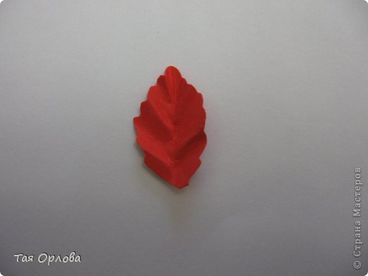  ������-�����, ��������, ����������� ����������, ���������: ��������+�� ��������� ������, �������, ����� ����� ���. ���� 8