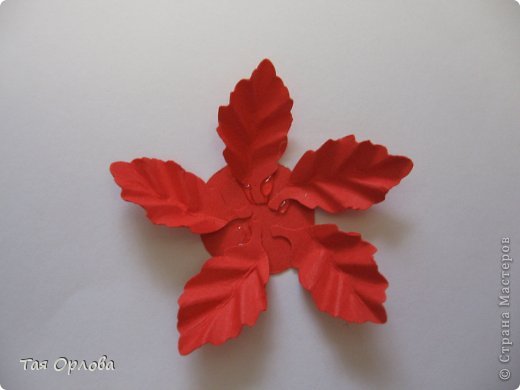  ������-�����, ��������, ����������� ����������, ���������: ��������+�� ��������� ������, �������, ����� ����� ���. ���� 7