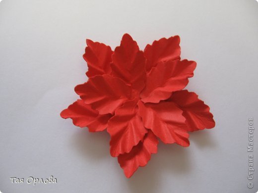  ������-�����, ��������, ����������� ����������, ���������: ��������+�� ��������� ������, �������, ����� ����� ���. ���� 9