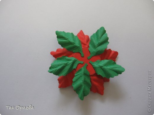  ������-�����, ��������, ����������� ����������, ���������: ��������+�� ��������� ������, �������, ����� ����� ���. ���� 10