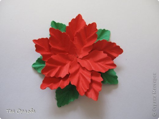  ������-�����, ��������, ����������� ����������, ���������: ��������+�� ��������� ������, �������, ����� ����� ���. ���� 11