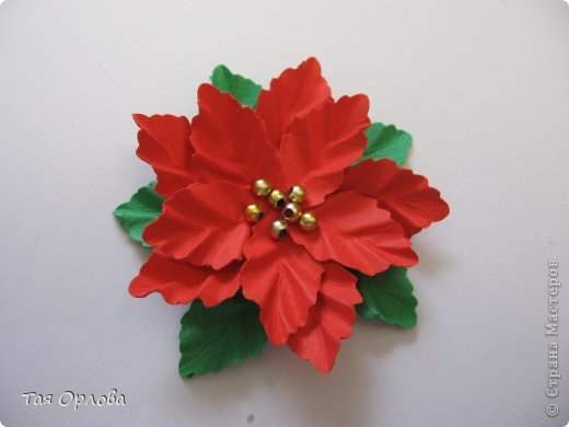  ������-�����, ��������, ����������� ����������, ���������: ��������+�� ��������� ������, �������, ����� ����� ���. ���� 12