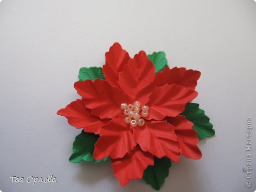  ������-�����, ��������, ����������� ����������, ���������: ��������+�� ��������� ������, �������, ����� ����� ���. ���� 13