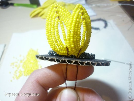 ������-����� �������������� �� ���������� �� ������ �� ������� ����� ������ ������������� ���� ��������� ���� 6