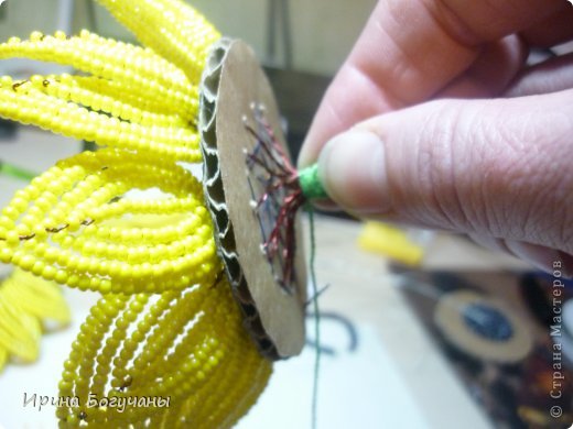 ������-����� �������������� �� ���������� �� ������ �� ������� ����� ������ ������������� ���� ��������� ���� 7