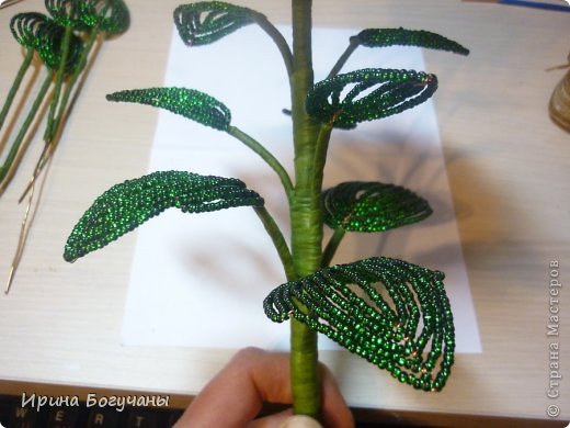 ������-����� �������������� �� ���������� �� ������ �� ������� ����� ������ ������������� ���� ��������� ���� 24