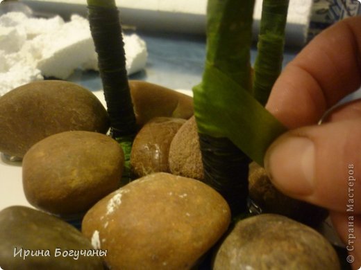 ������-����� �������������� �� ���������� �� ������ �� ������� ����� ������ ������������� ���� ��������� ���� 29