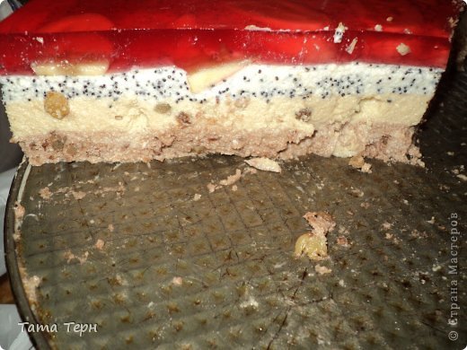 Кулинария, Мастер-класс Рецепт кулинарный: Творожный торт из Болгарии Продукты пищевые День рождения. Фото 12