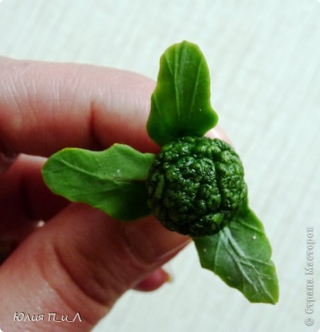 ��� ���������: ������� ���� �����, ��� � � ������ ��� ������, ��������� ��� ������� ������, �� ����� ����-�� ���������� � ������. ��� ����� �� ����������  ����� ��������� ������, �� ������ ����� ���� ������� � �� ��������, � ����� � �� �������� �����. . ���� 7